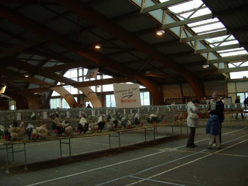 18-champ-meusienne.jpg